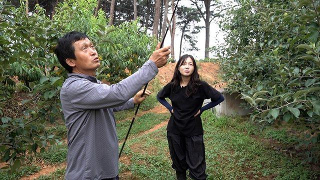 '인간극장-은영이가 돌아왔다’ 사과밭으로 돌아온 맏딸