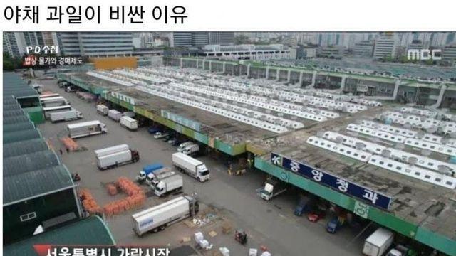 가락시장의 기막힌 유통구조