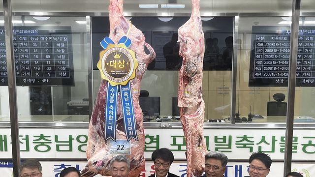 충남 부여서 키운 한우, 경진대회 대상…6천223만원 기록