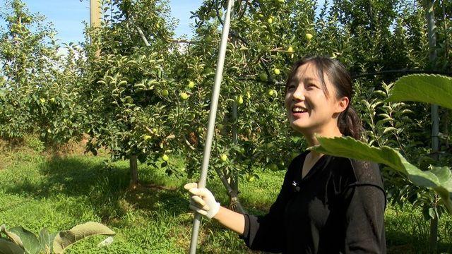 '인간극장' 당진 3000평 사과밭 지키는 성은영 씨의 삶