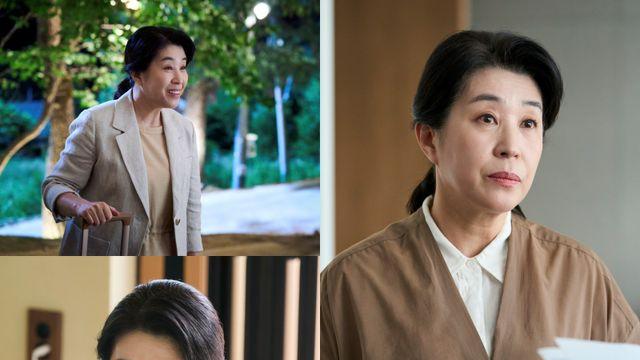 김미경, ‘견우와 선녀’→‘첫, 사랑을 위하여’…올여름 안방극장 올킬