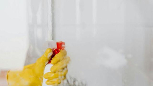 지긋지긋한 곰팡이, 00으로 해결? 자취러를 위한 곰팡이 제거 꿀팁