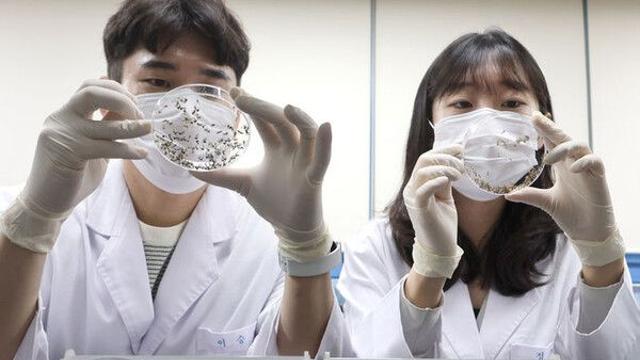 폭우·폭염 뒤 찾아오는 ‘감염병’ 성행…”예방수칙 철저히 지켜야”