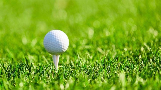 전북도, 27개 골프장 농약 잔류량 검사…안전 기준 '적합'