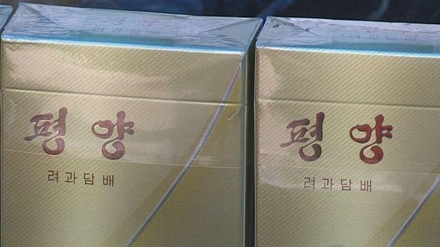 충남 태안서 북한군 추정 탄약통·담뱃갑 발견…군경 조사 중