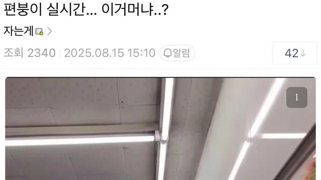 편붕이 근황….이거 뭐냐??