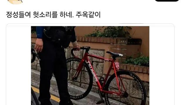 픽시충들 근황