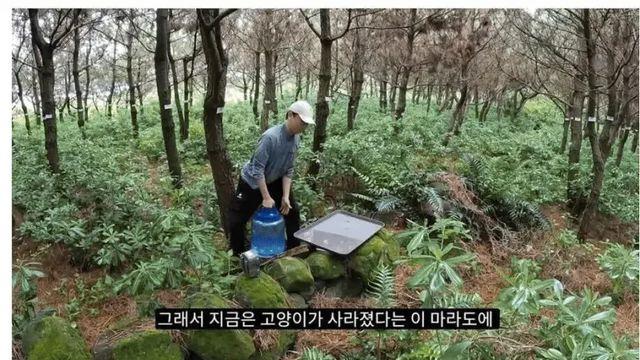 숲 속 물그릇에 온 의외의 동물