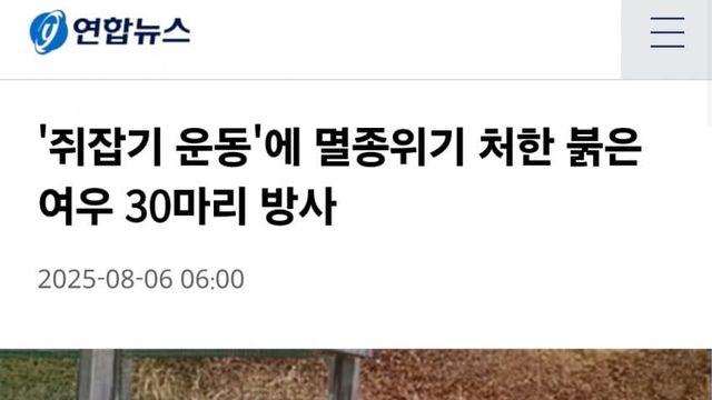 최근 복원사업으로 30마리나 방사된 무시무시한 맹수