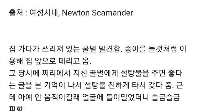 지친 꿀벌 살려준 썰.jpg