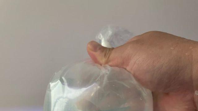 신기한 새우 삼