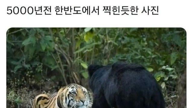 단군신화 목격담