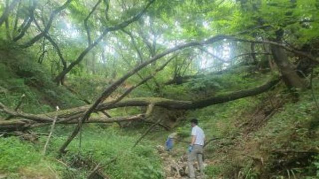 길고 길었던 실종자 수색…76시간 만 극적 발견