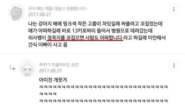 강아지 배에 고름이 차있길래 동물병원에 갔다,,