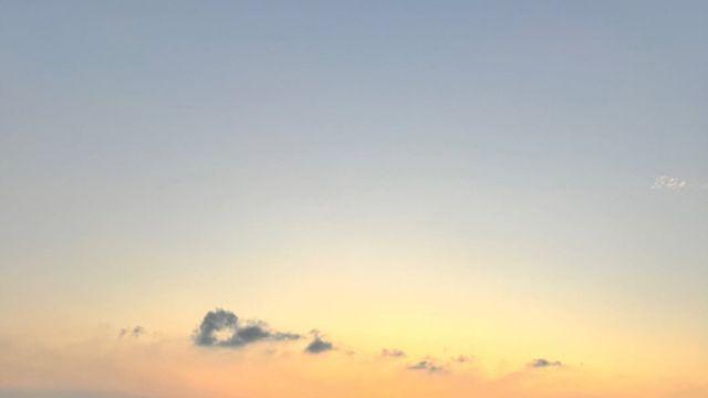 한그루, ‘군살 제로’ 형광 수영복 자태 대박 [DA★]