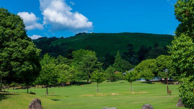 나라 공원에서 사슴 찍은거 봐줘,,, (17장)