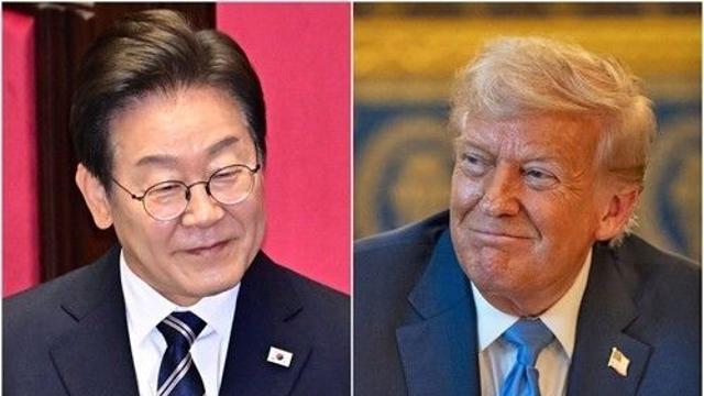美전문가 