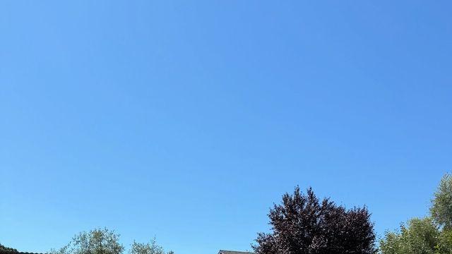 엄지원, 여름 햇살 속 데님 점프수트로 꾸안꾸 정석