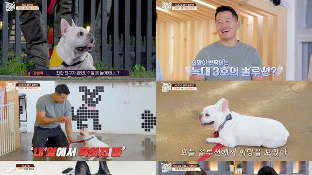 강형욱, '잠실 깡패견' 늑대 낙인 벗겼다 