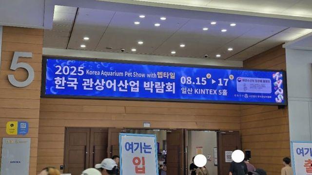 [관파박] 관상어산업 박람회 w.렙타일 후기