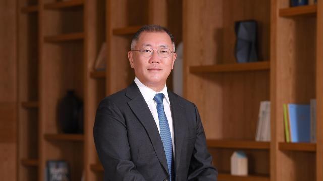 정의선 회장 