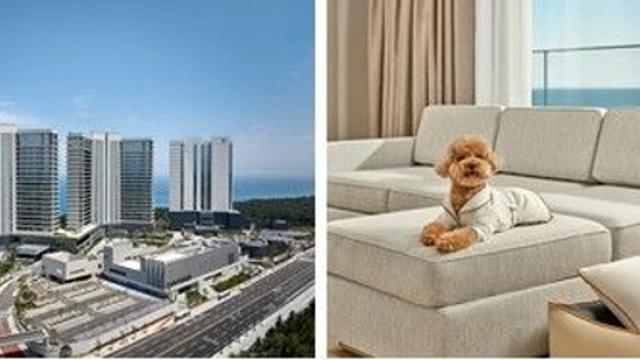 신라모노그램 강릉, 반려견 동반 객실 전용 패키지 선보여
