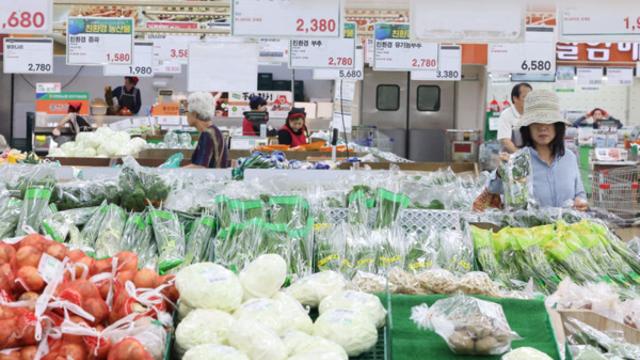 시금치값 172%↑…7월 생산자물가 두달째 상승