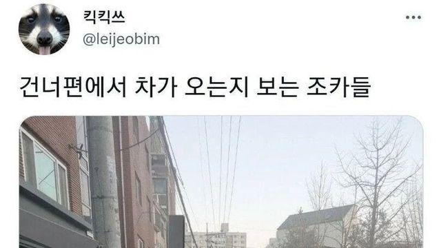 건너편에 차 오는지 보는 조카들.jpg