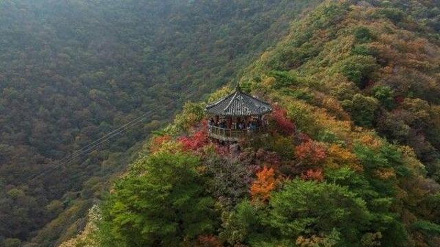 정읍 가볼 만한 곳, 내장산의 비경과 고즈넉한 풍경