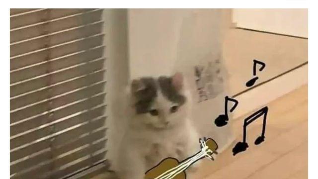 주호민 실시간 발언.txt