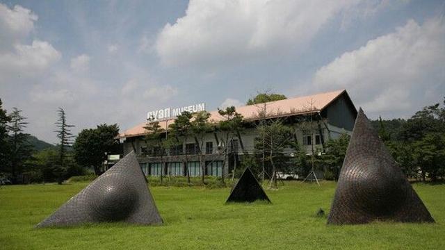 영천 가볼 만한 곳, 역사와 미식이 공존하는 여행