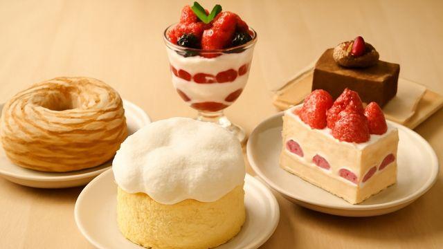 '생방송 투데이' 달콤하고 신선한 디저트, 오늘의 맛집