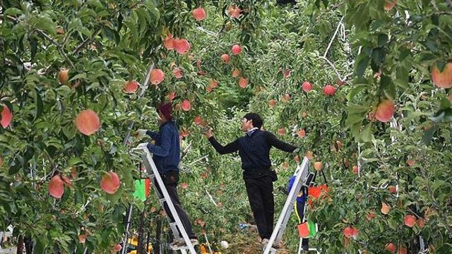 이 가격 말이 되나…추석 한 달 전 심상치 않은 징조 또 포착되자 뜬 '정부 발표'