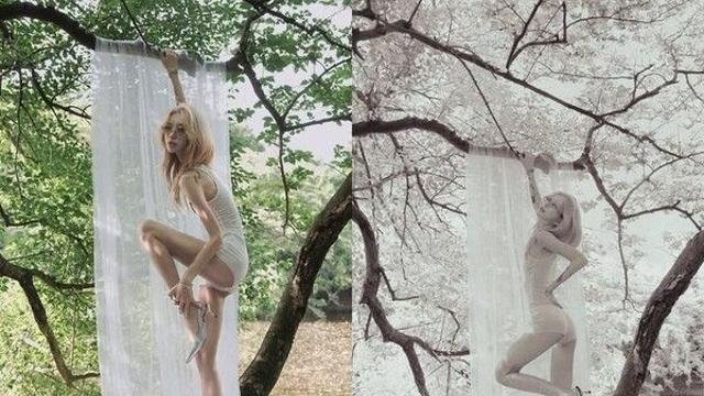'96→41㎏' 최준희, 나무 매달려 뼈말라 몸매