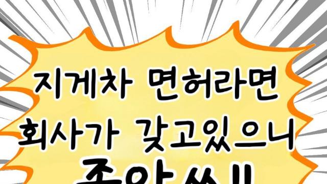 좋소기업의 면허 특징 