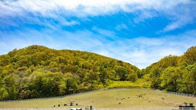 대관령 가볼 만한 곳, 하늘 아래 드넓은 풍경