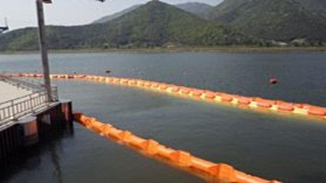 낙동강 조류경보 '경계' 발령, 부산시 