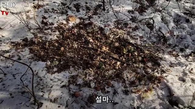 그거 아냐 진구마 전적 이것도 있는거