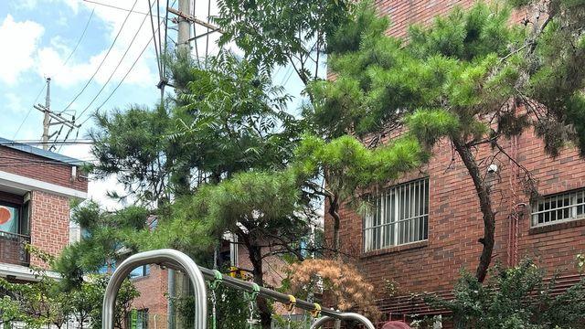 레드 원피스의 마법, 고우리의 여름 공원 룩