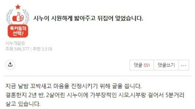 네이트판) 시누이 시원하게 밟아주고 뒤집어 엎었습니다