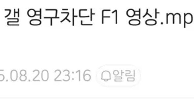 바이크갤 영구차단 F1 영상.mp4,,