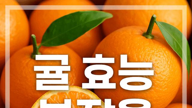귤 효능 부작용 제대로 알고 먹으면 달라지는 몸 변화