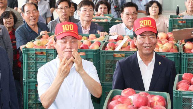 거창군 홍로사과 초매식 개최