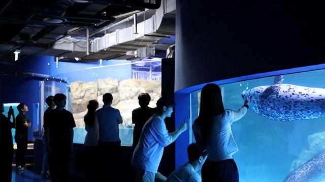 코엑스 아쿠아리움 변신… 새 테마존과 투명보트로 차별화