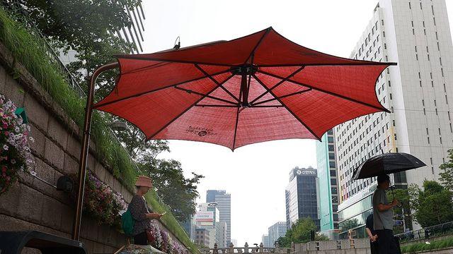 [내일날씨] 낮 최고 36도 무더위 계속…곳곳 소나기