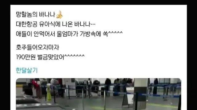 기내식 챙겼다가 벌금형,,
