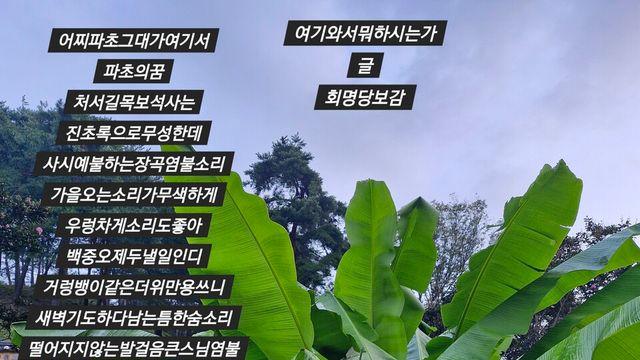 [보감과의 동행114]   여기와서뭐하시는가