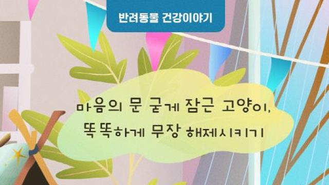 [반려동물 건강이야기] 마음의 문 굳게 잠근 고양이, 똑똑하게 무장 해제시키기-소심한 고양이와 친해지는 법