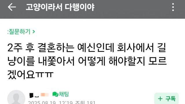 ㄱㄷ) 회사에 민폐끼치던 캣맘충 컷_옳게된 결말