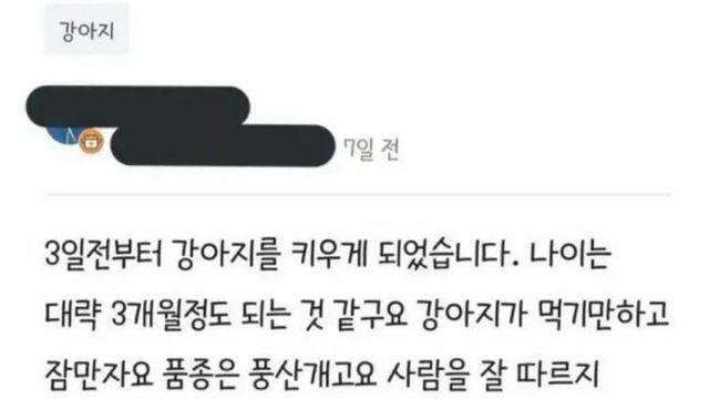 댕댕이가  잡니다. 이유가 있을까요?